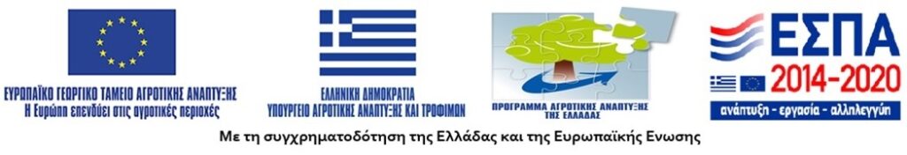 Με τη συγχρηματοδότηση της Ελλάδας και της Ευρωπαϊκής Ένωσης