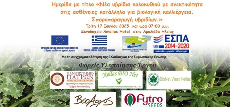 6η Ημερίδα με τίτλο «Νέα υβρίδια κολοκυθιού με ανεκτικότητα στις ασθένειες κατάλληλα για βιολογική καλλιέργεια. Σποροπαραγωγή υβριδίων.» 6η Ημερίδα με τίτλο «Νέα υβρίδια κολοκυθιού με ανεκτικότητα στις ασθένειες κατάλληλα για βιολογική καλλιέργεια. Σποροπαραγωγή υβριδίων.»