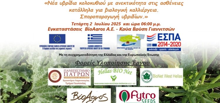 7η Ημερίδα με τίτλο «Νέα υβρίδια κολοκυθιού με ανεκτικότητα στις ασθένειες κατάλληλα για βιολογική καλλιέργεια. Σποροπαραγωγή υβριδίων.» Ημερίδα με τίτλο «Νέα υβρίδια κολοκυθιού με ανεκτικότητα στις ασθένειες κατάλληλα για βιολογική καλλιέργεια. Σποροπαραγωγή υβριδίων.»