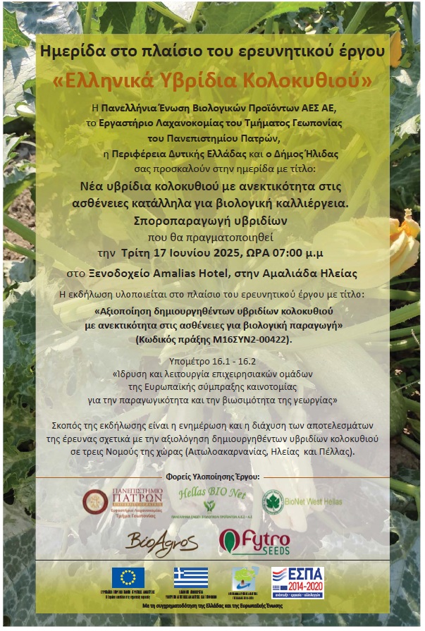 Αφίσα 6ης Ημερίδας